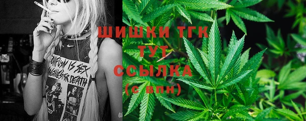 мет Карпинск