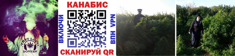 Купить где  Рыбинск  Шишки марихуана гибрид 